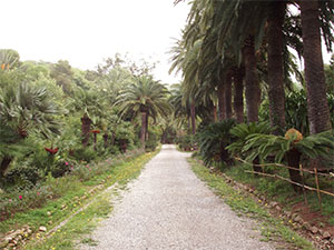 Giardino Botanico dell'Ottone, Portoferraio.