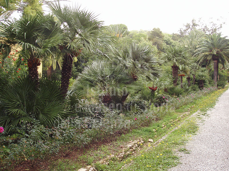 Ottone Botanical Garden, Portoferraio.