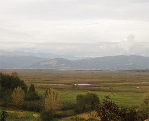 View of the Padule di Fucecchio from Massarella, Fucecchio.