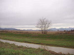 The former Lake of Bientina between Altopascio and Bientina.