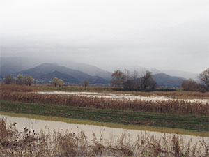 The former Lake of Bientina between Altopascio and Bientina.