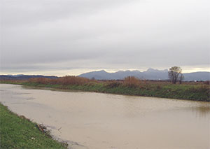 Canale dell'ex lago di Bientina fra Altopascio e Bientina.
