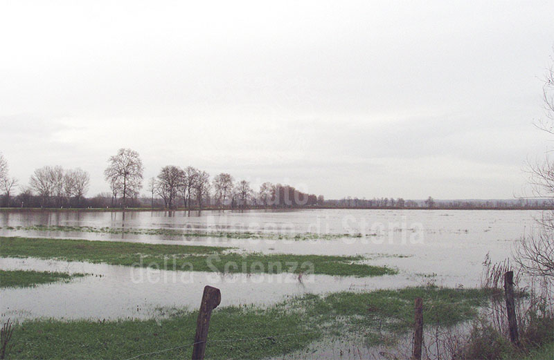 Bosco di Tanali, area naturale protetta di interesse locale, ex lago di Bientina, Bientina.