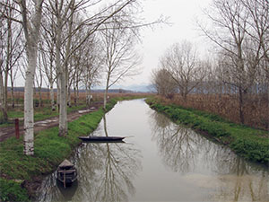Riserva Naturale Padule di Fucecchio, Area Le Morette, loc. Castelmartini, Larciano.
