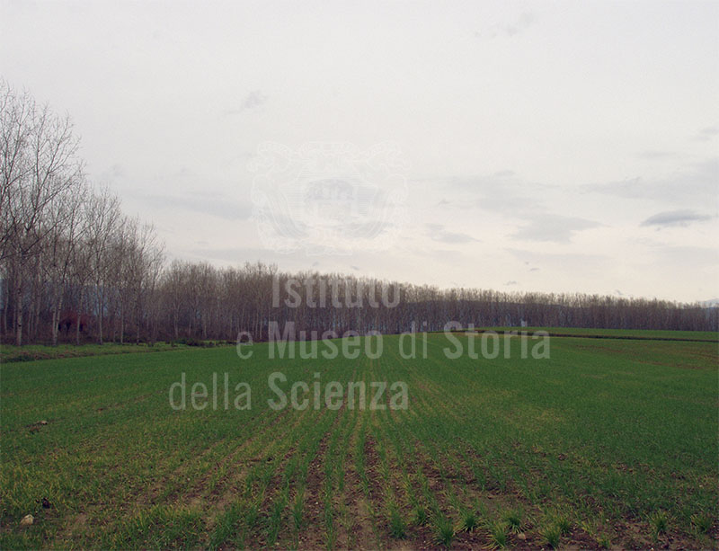 Riserva Naturale Padule di Fucecchio presso l'Area Le Morette, loc. Castelmartini, Larciano.