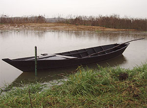 Fucecchio Marshes Nature Reserve near Anchione, Swamp boat, Ponte Buggianese.