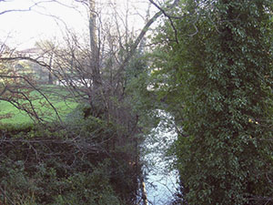 Canal connecting the upper lake and the lower lake, garden of Villa Puccini, Pistoia.