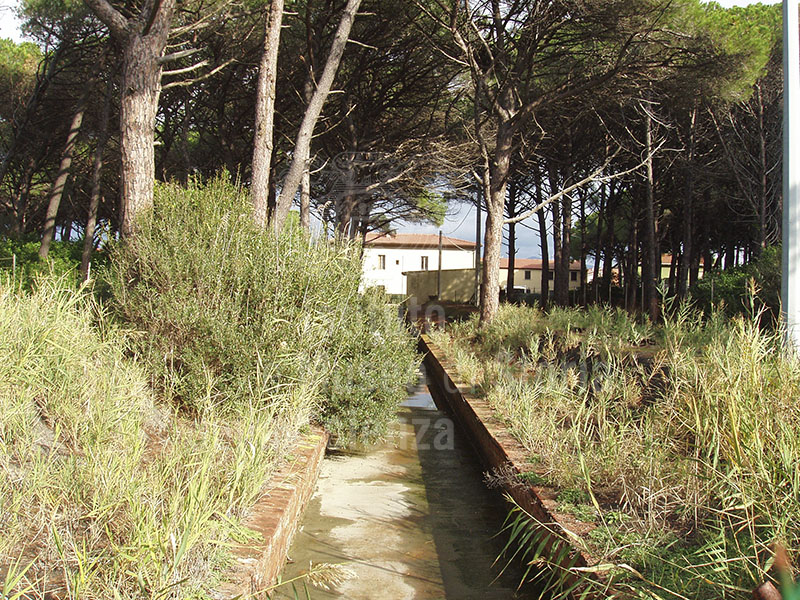 Drainage canal bringing water to the sea.  In the background can be seen the pump building. Localit Molino a Fuoco, Vada.