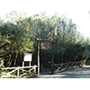 Entrance to the arboretum, Riserva Naturale Biogenetica "Tomboli di Cecina".