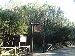Entrance to the arboretum, Riserva Naturale Biogenetica "Tomboli di Cecina".