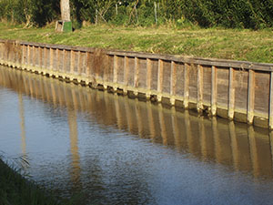 Detail of banking of the Molino a Fuoco canal. Since 2006, banking with wood has been preferred to the old system of compacted earth, to ensure better maintenance and less erosion of the banks. Localit Molino a Fuoco, Vada.