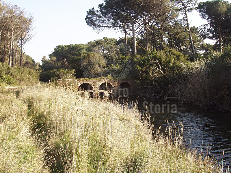 Lock along the canal of the Pineta del Molino at Fuoco. Localit Molino a Fuoco, Vada.