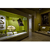 Sala I - Il collezionismo mediceo, Museo Galileo, Firenze.