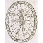 Corrispondenza tra il microcosmo umano ed il macrocosmo celeste, A. Kircher, "Musurgia universalis ", Roma, 1650.