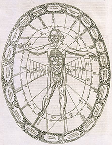 Corrispondenza tra il microcosmo umano ed il macrocosmo celeste, A. Kircher, "Musurgia universalis ", Roma, 1650.