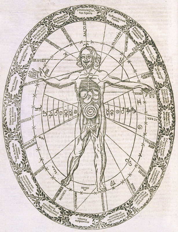 Correspondence between the human  microcosm and the celestial macrocosmo, A. Kircher, "Musurgia universalis ", Rome, 1650.