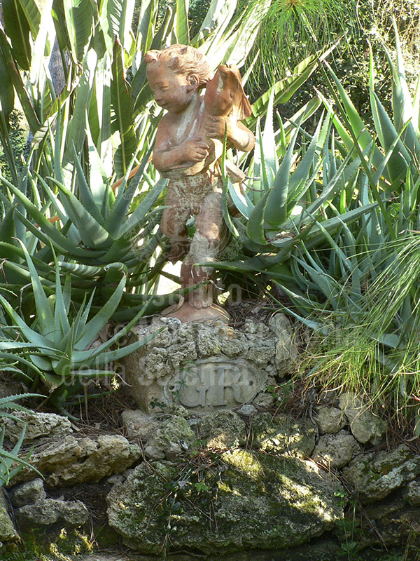 Putto in terracotta con le iniziali "G R" di Giorgio Roster e aloe nella vasca dei papiri del Giardino Botanico dell'Ottonella, Portoferraio.