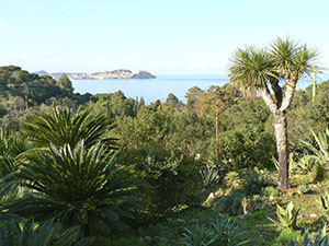 Piante esotiche nel Giardino Botanico dell'Ottonella con vista sulla rada di Portoferraio.