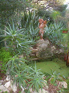 Vasca dei papiri del Giardino Botanico dell'Ottonella: putto in terracotta con le iniziali "G R" di Giorgio Roster e aloe, Portoferraio.