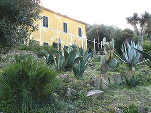 Villa and Botanical Garden of Ottonella with palms, agaves, prickly pears and other exotic plants, Portoferraio.