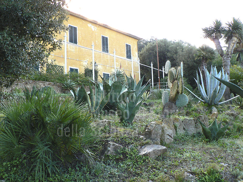 Villa and Botanical Garden of Ottonella with palms, agaves, prickly pears and other exotic plants, Portoferraio.