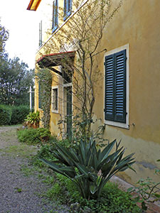 Retro della villa dell'Ottonella, Portoferraio. In primo piano un esemplare di Strelitzia.