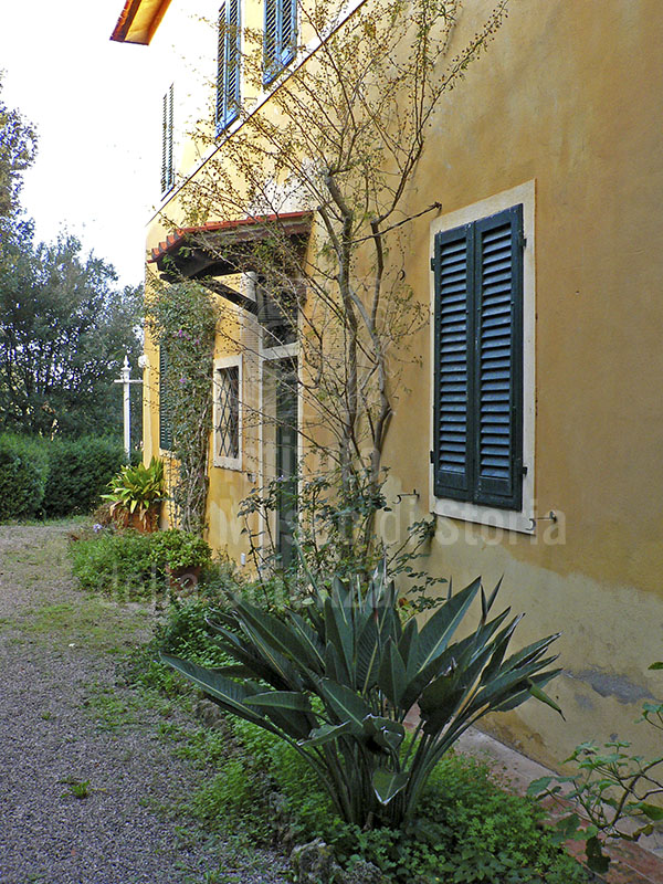Back of the Villa dell'Ottonella, Portoferraio. In the foreground, a specimen of Strelitzia.