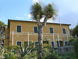 Villa e Giardino Botanico dell'Ottonella. In primo piano un esemplare di Yucca, Portoferraio.