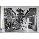 Vegetal products room in the Florence Botanical Museum in 1874, in F. Parlatore, "Les collections botaniques du Musée royal de physique et d'histoire naturelle de Florence", Florence, 1874.