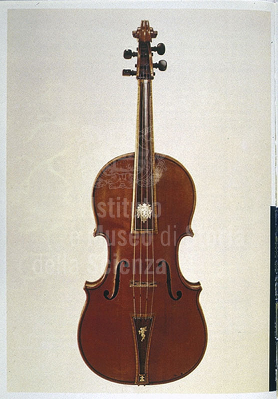 Viola medicea Stradivari, Museo degli Strumenti Musicali (Galleria dell'Accademia), Firenze.