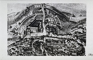 Orto Botanico dell'Universit degli Studi di Siena in una incisione del sec. XVII.