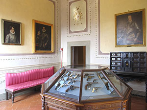 Sala con, al centro, vetrina contenente armi. Villa Medicea di Cerreto Guidi e Museo Storico della Caccia e del Territorio.