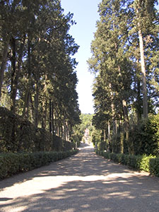 The avenue of cypresses, Giardino di Boboli, Florence.