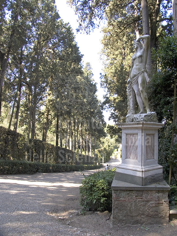 The avenue of cypresses, Giardino di Boboli, Florence.