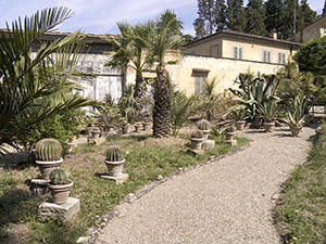 Upper Botanical Garden of Boboli, Florence: tropical plants.