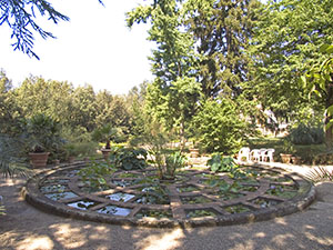 Upper Botanical Garden of Boboli, Florence: pool with aquatic plants.