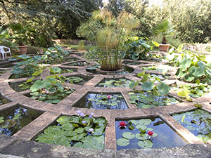Upper Botanical Garden of Boboli, Florence: pool with aquatic plants.