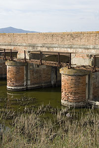 Detail of the Chiusa sul Canale San Leopoldo, Castiglione della Pescaia (GR).