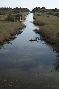 San Leopoldo Canal near the lock for draining the Lake of Castiglione, Castiglione della Pescaia (GR).