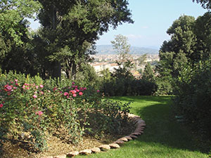 Garden of Palazzo Mozzi Bardini, Florence: view with roses.
