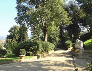 Giardino di Palazzo Mozzi Bardini a Firenze: tratto del viale che conduce alla villa Manadori (Villa di Belvedere).