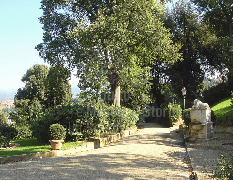 Giardino di Palazzo Mozzi Bardini a Firenze: tratto del viale che conduce alla villa Manadori (Villa di Belvedere).