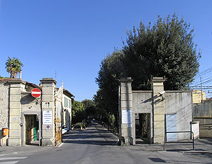 Ex Ospedale Psichiatrico di San Salvi a Firenze: viale d'ingresso.