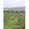Veduta del Giardino dell'Iris, Firenze. Sullo sfondo la citt e la collina di Fiesole.