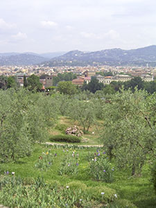 View of the Iris Garden, Florence.  In the background, the city and the hill of Fiesole.