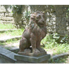 Terracotta lion, Stibbert Garden, Florence.