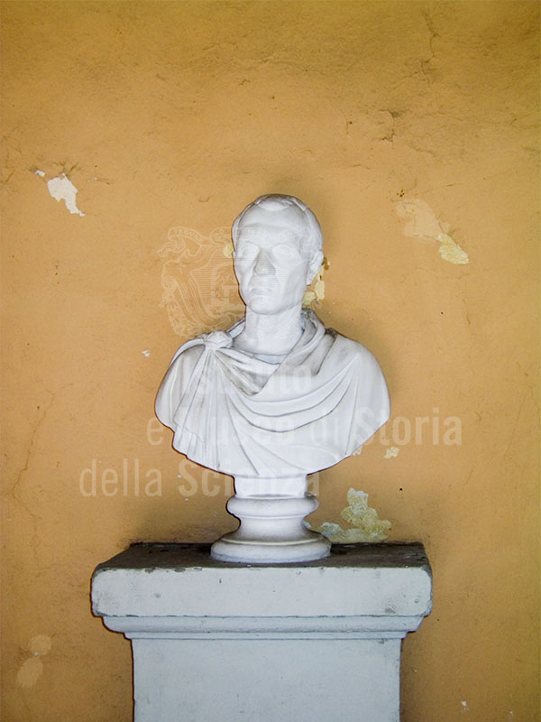 Bust in the courtyard of the house of Giovanni Battista Amici, Florence.