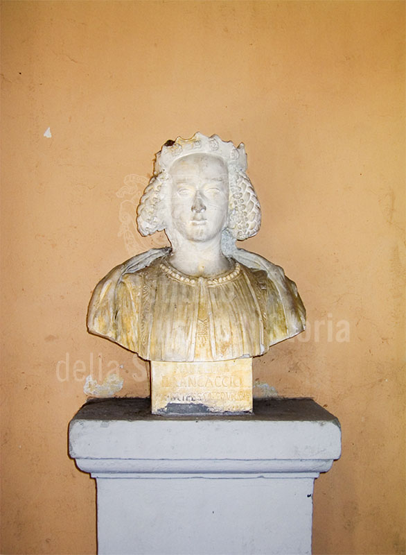 Busto nel cortile della casa di Giovanni Battista Amici, Firenze.