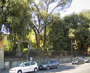 The Garden of Palazzo Serristori, Florence.