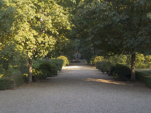 Orto Botanico "Giardino dei Semplici", Firenze.
